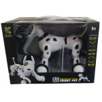 products-619box-scaled-1.jpg