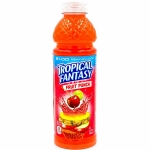 TROPICAL FANTASY-FRUIT PUNCH LEMONADE - Image 1