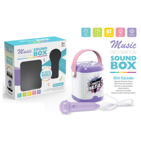 SOUND BOX W/LIGHT&BATTERY