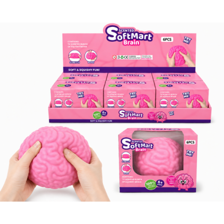 LS2001-25 Jumbo Brain Squishy Pack Of 6